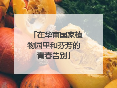 在华南国家植物园里和芬芳的青春告别